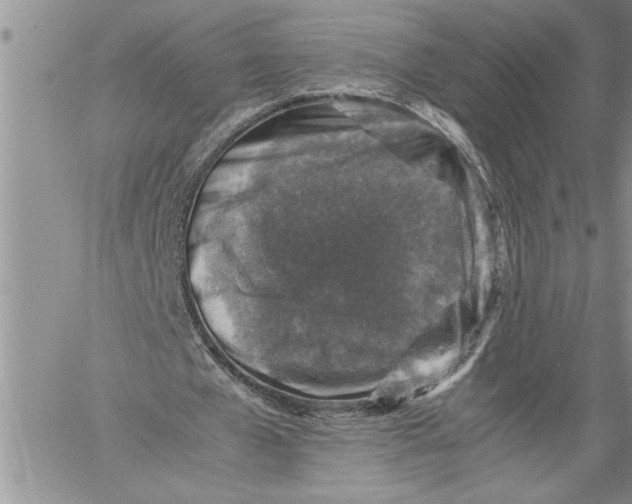 X0000060550577200511241227