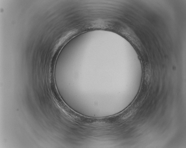 X0000060550578200511241227