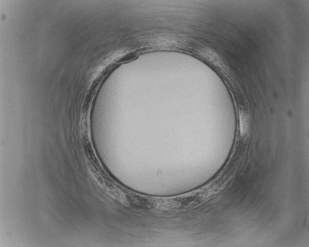 X0000060550579200511241227