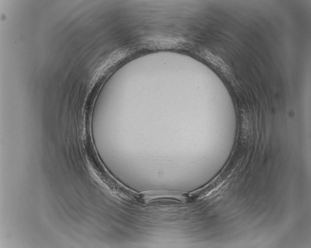 X0000060550582200511241227