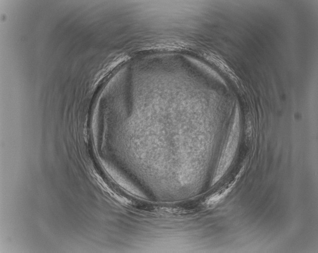 X0000060550585200511241227