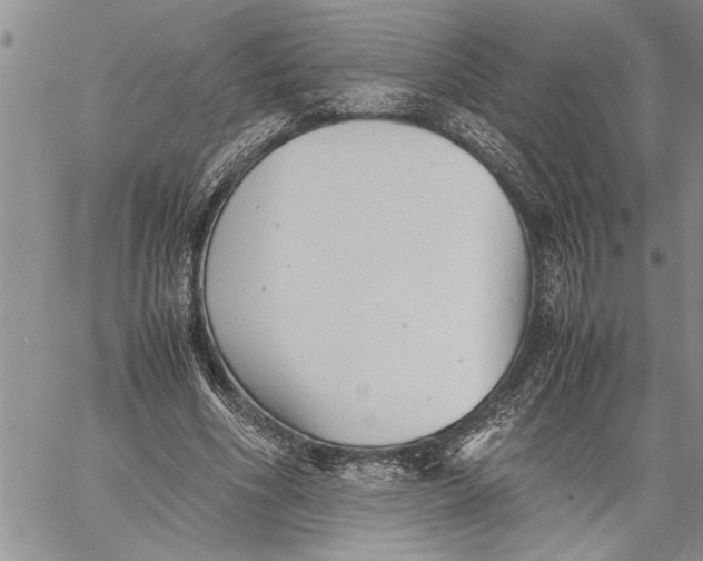 X0000060550586200511241227