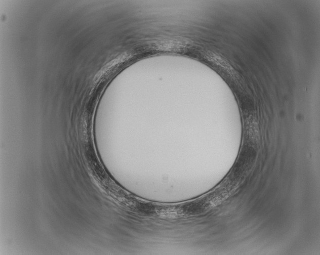 X0000060550587200511241227