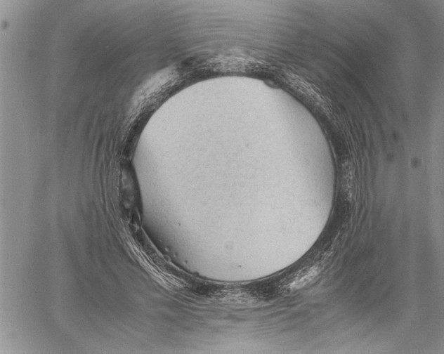 X0000060550589200511241227