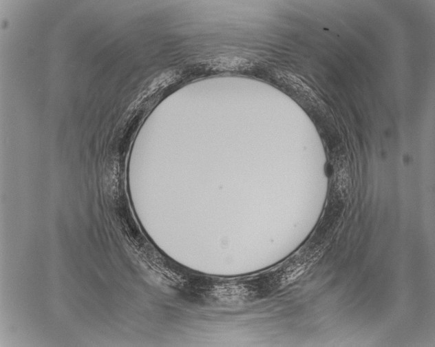 X0000060550591200511241227