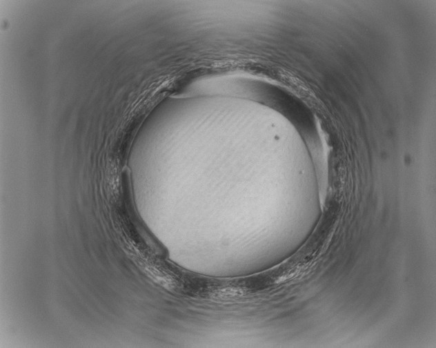 X0000060550593200511241227