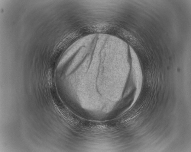 X0000060550594200511241227