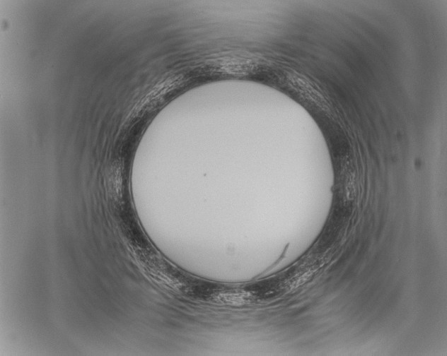 X0000060550595200511241227