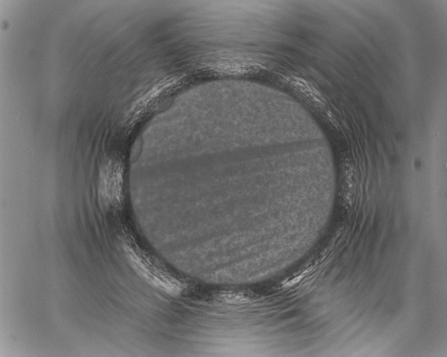 X0000060550596200511241227