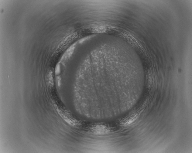 X0000060550598200511241227