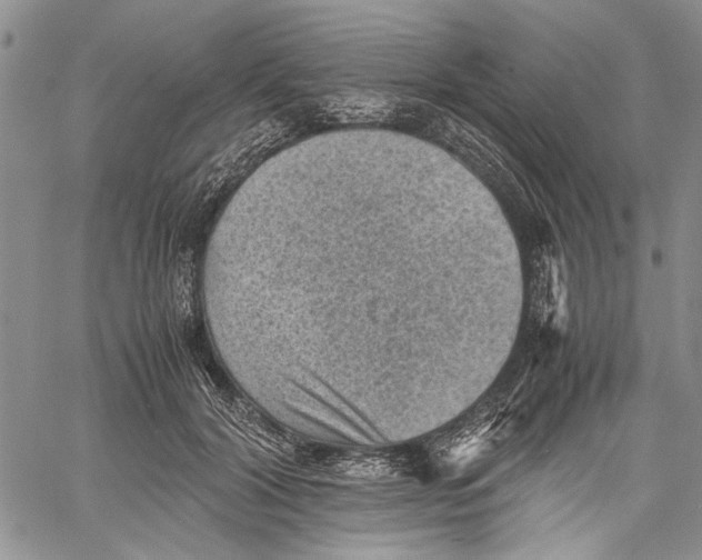 X0000060550604200511241227