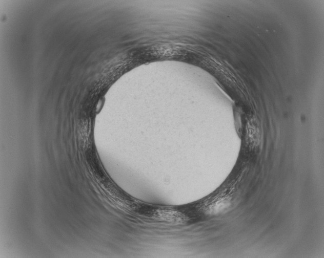 X0000060550605200511241227