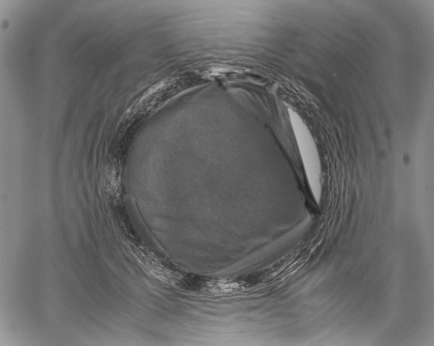 X0000060550607200511241227