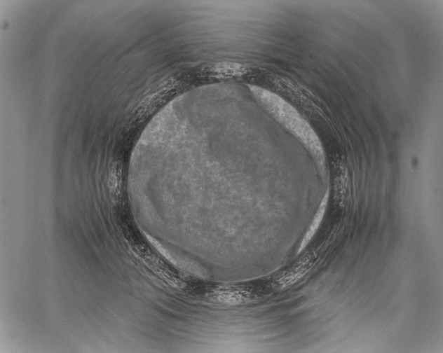 X0000060550608200511241227