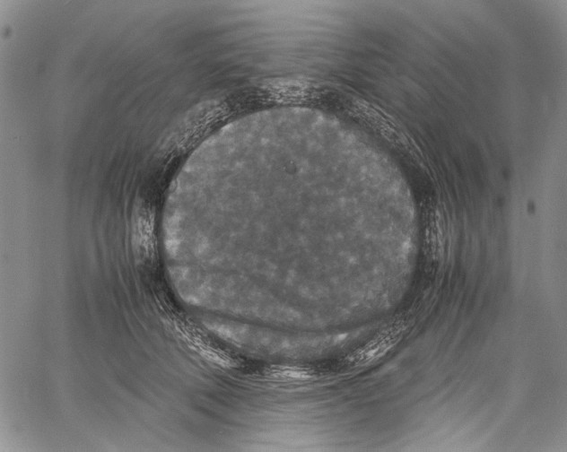 X0000060550610200511241227