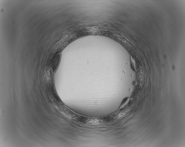 X0000060550611200511241227