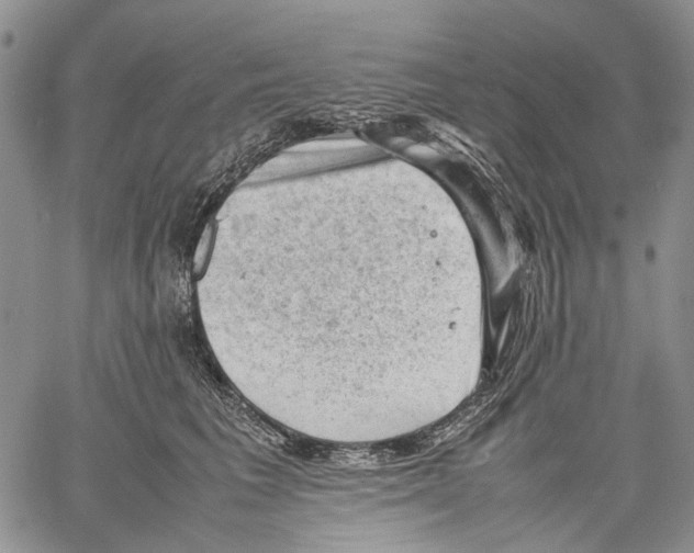 X0000060550613200511241227