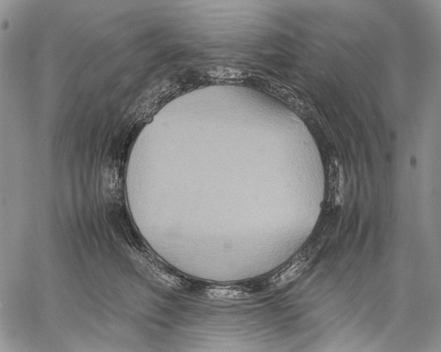 X0000060550614200511241227