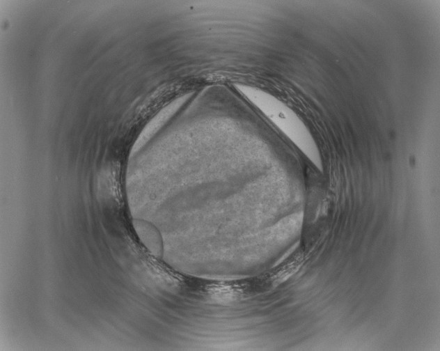 X0000060550616200511241227