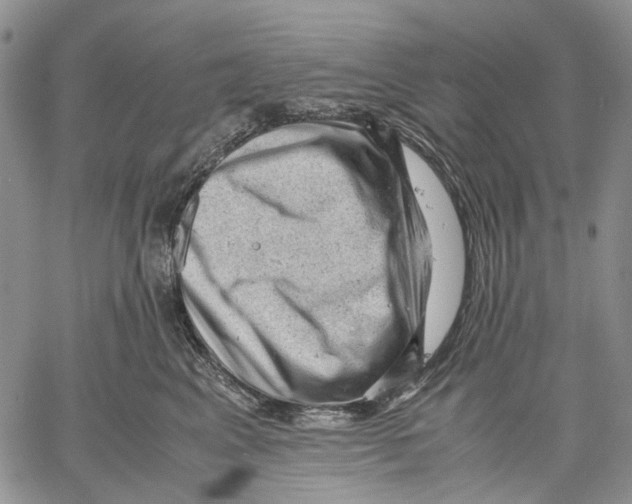 X0000060550617200511241227