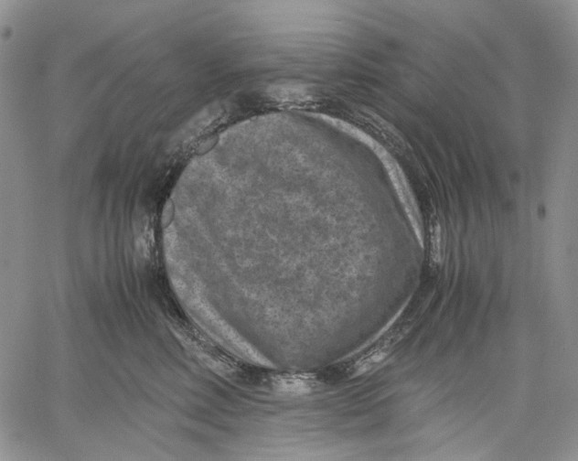 X0000060550618200511241227