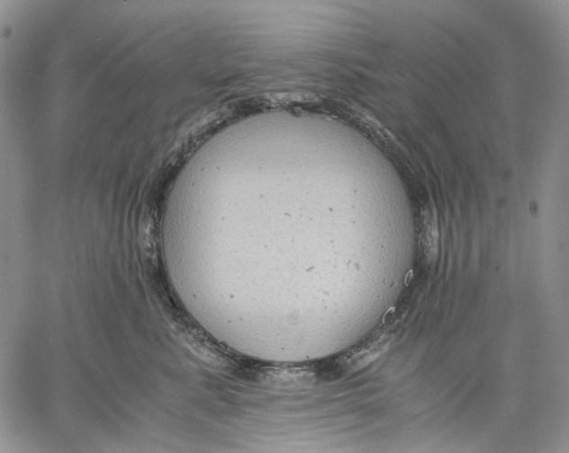 X0000060550619200511241227