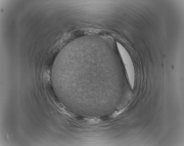 X0000060550621200511241227