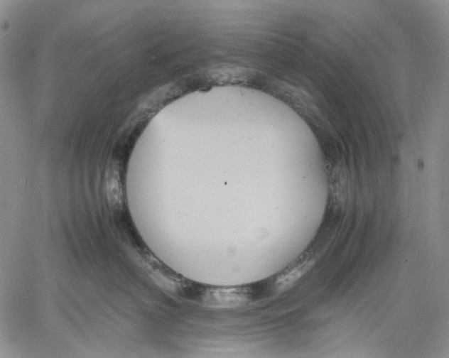 X0000060550622200511241227