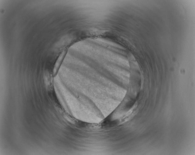 X0000060550624200511241227