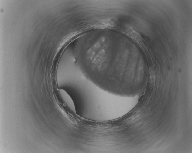 X0000060550626200511241226