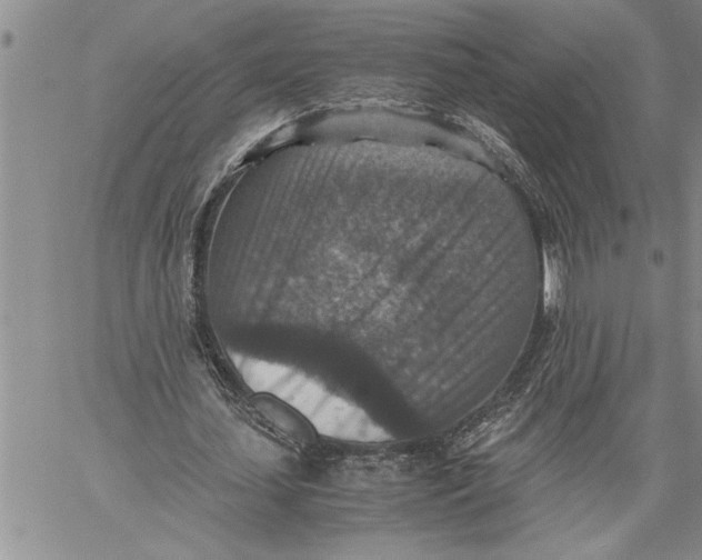 X0000060550627200511241226