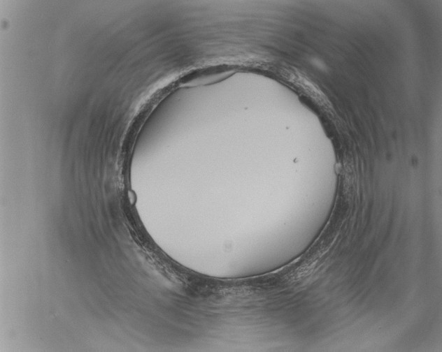 X0000060550628200511241226