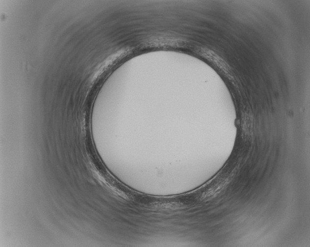 X0000060550629200511241226