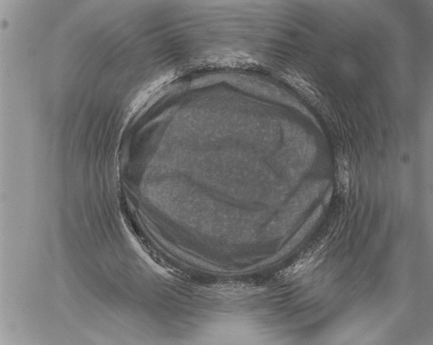 X0000060550630200511241226