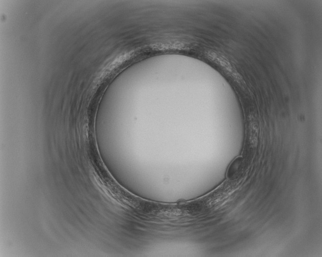 X0000060550631200511241226