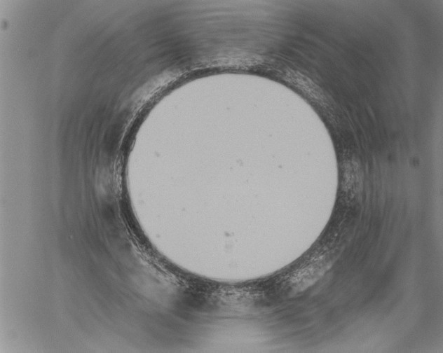 X0000060550632200511241226