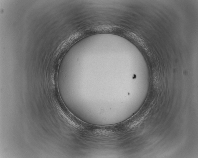 X0000060550633200511241226