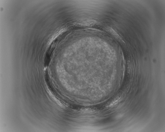 X0000060550634200511241226