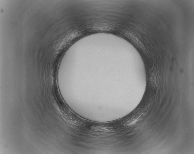 X0000060550635200511241226