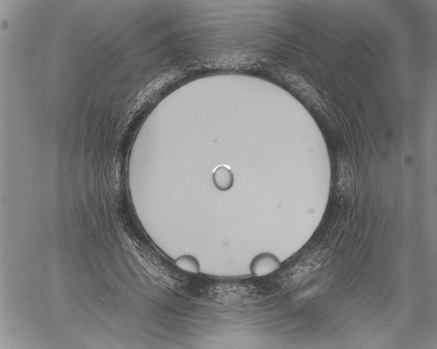 X0000060550636200511241226