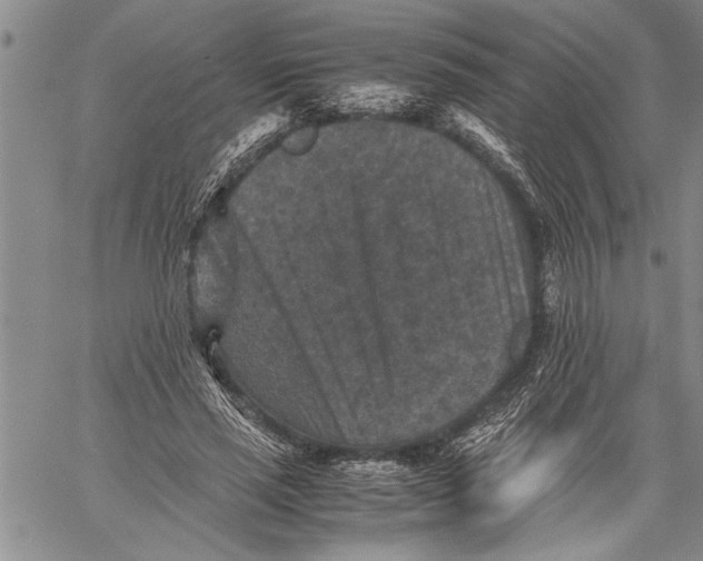 X0000060550637200511241226