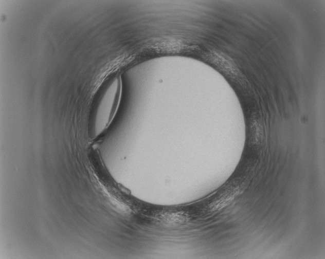 X0000060550638200511241226