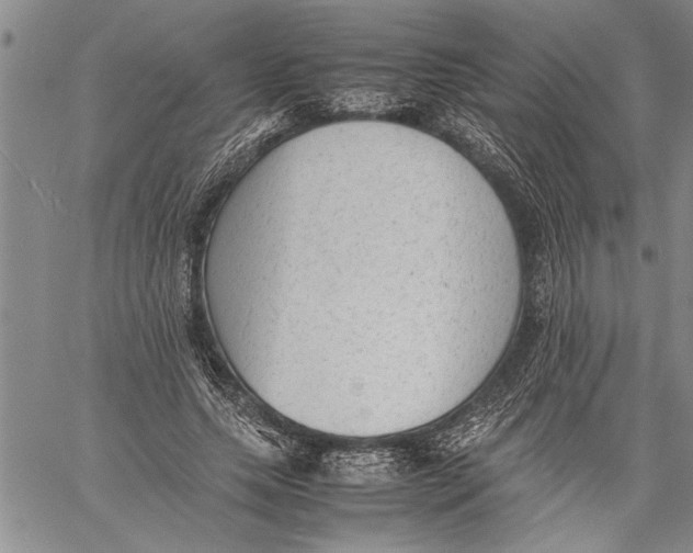 X0000060550639200511241226