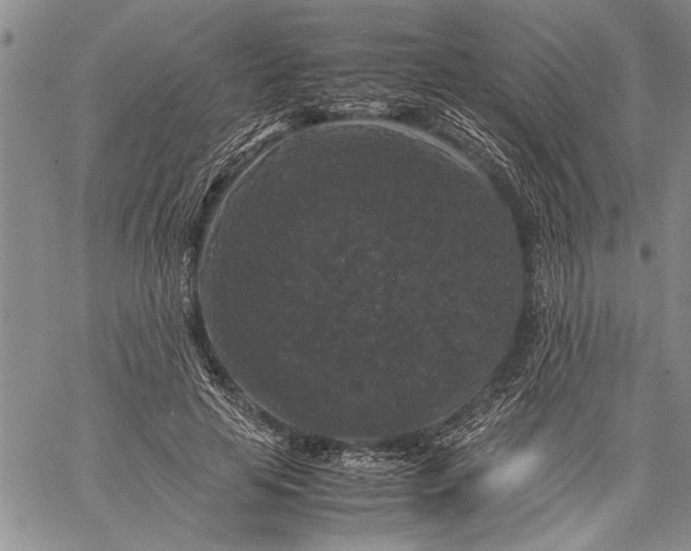 X0000060550641200511241226