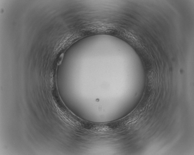 X0000060550642200511241226