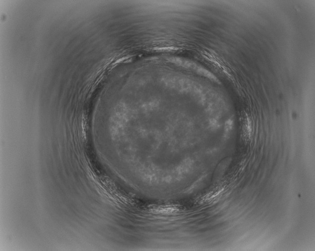 X0000060550643200511241226