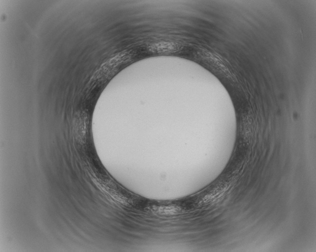 X0000060550645200511241226