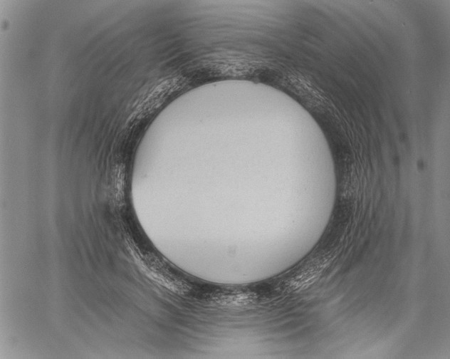 X0000060550646200511241226