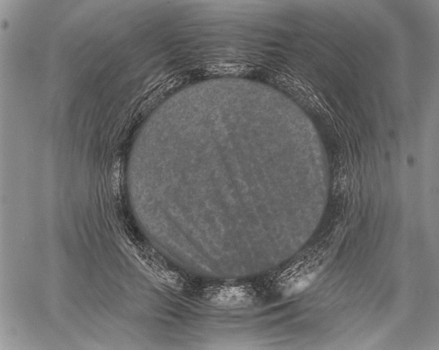 X0000060550647200511241226