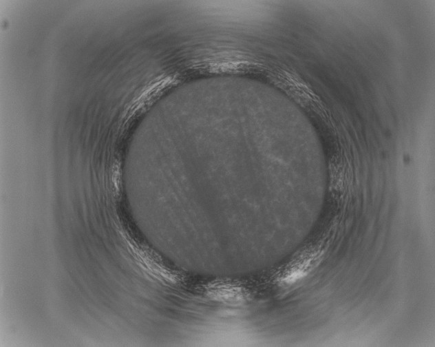 X0000060550648200511241226